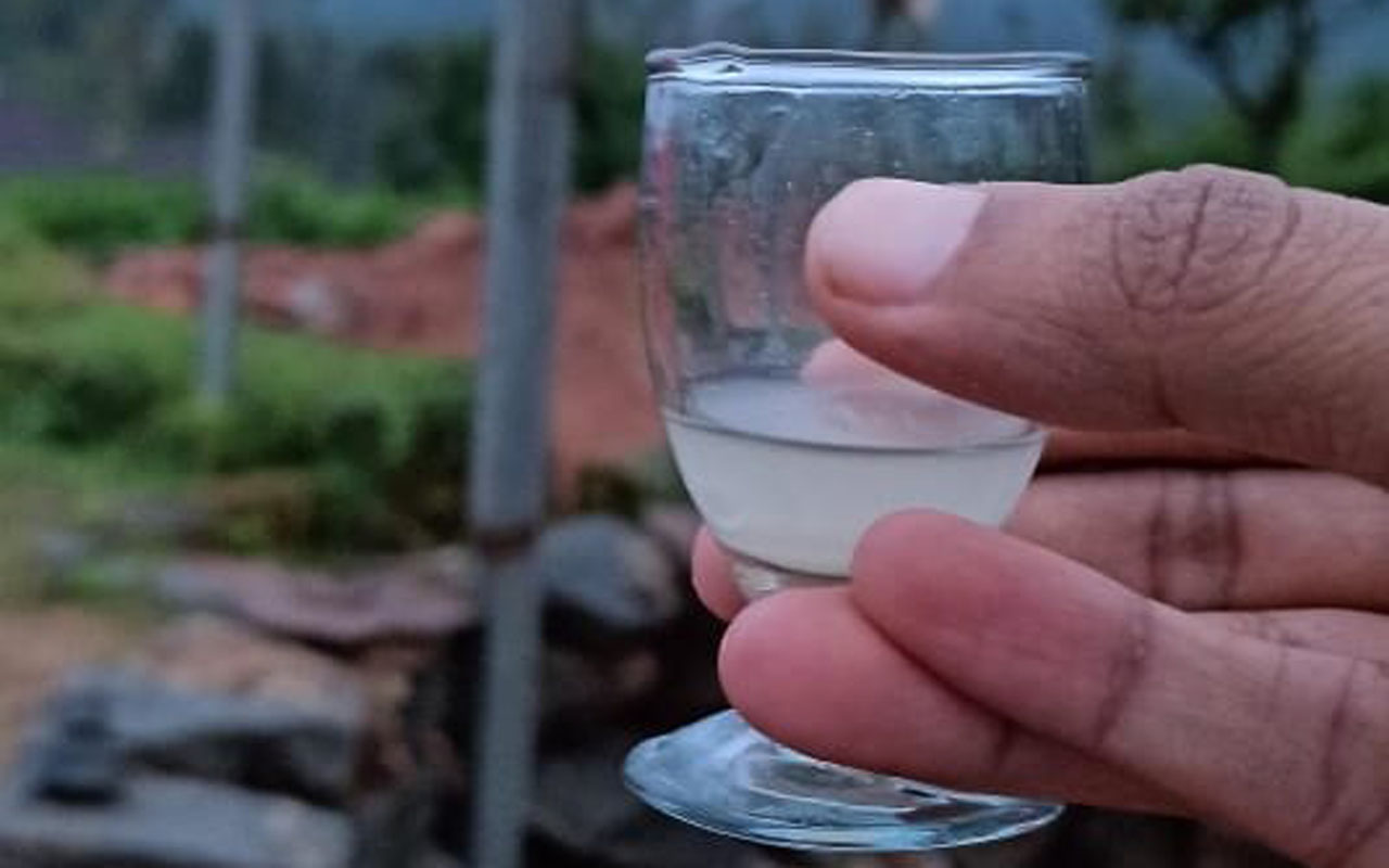 Homemade wine in mudigere Chikmagalur